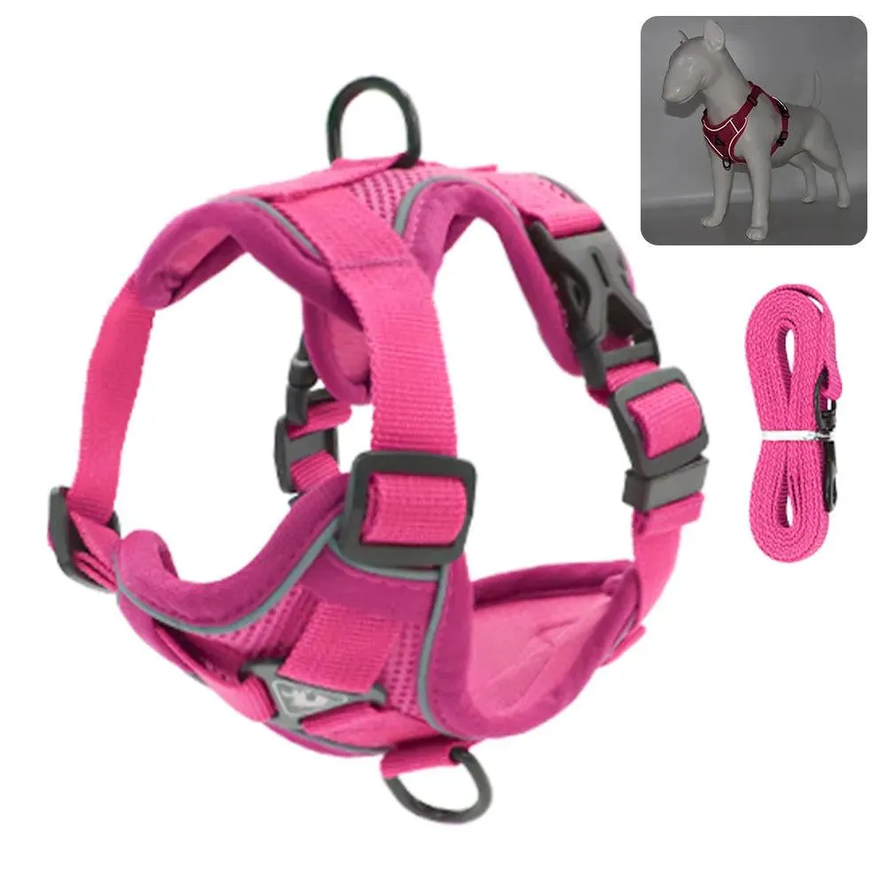 Escape-Proof Cat Harness: Breathable Reflective Leash