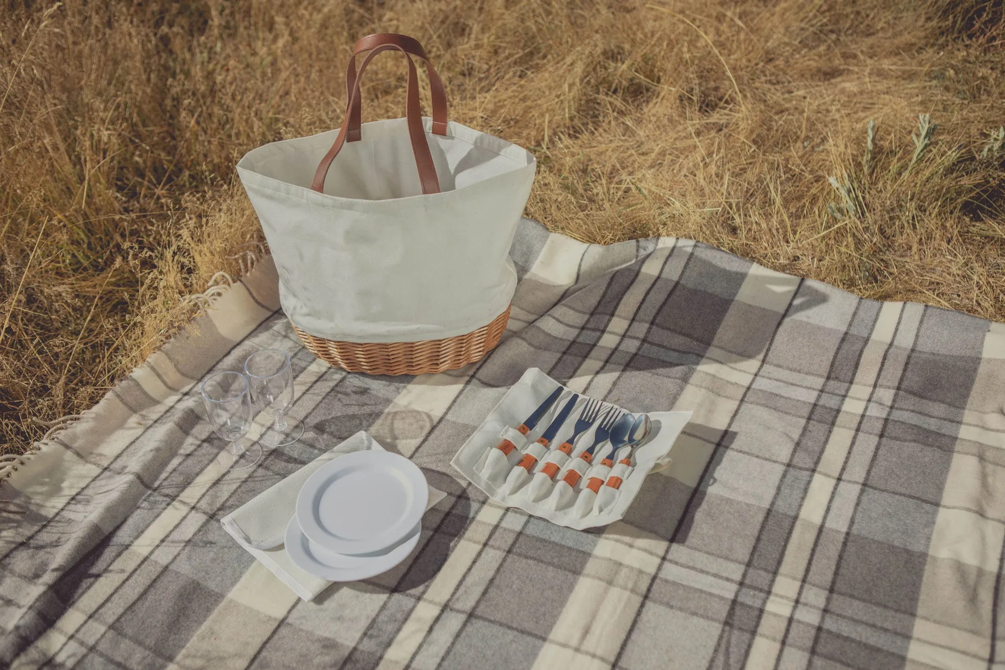 Tampa Bay Rays - Promenade Picnic Basket