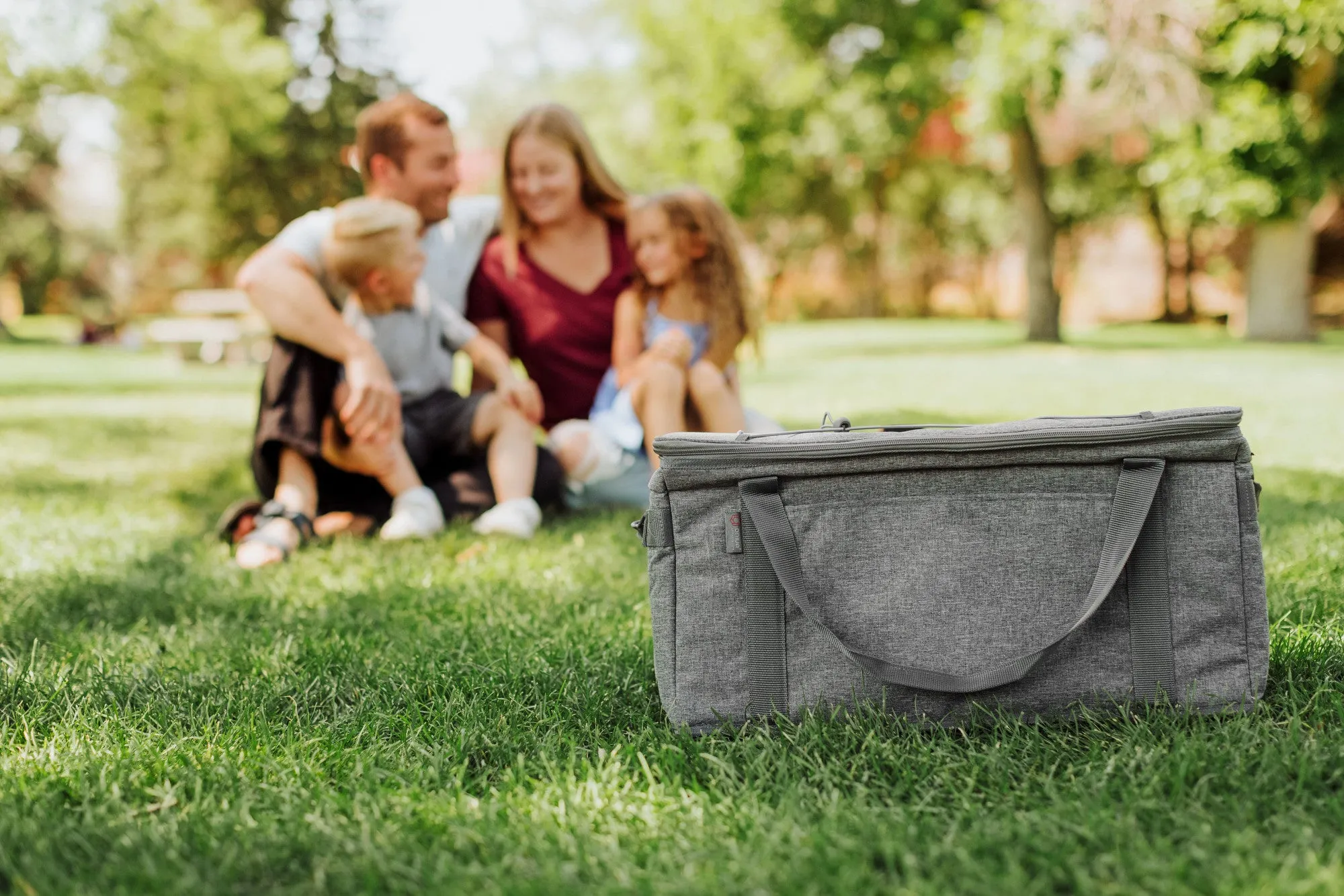 Washington Huskies - 64 Can Collapsible Cooler