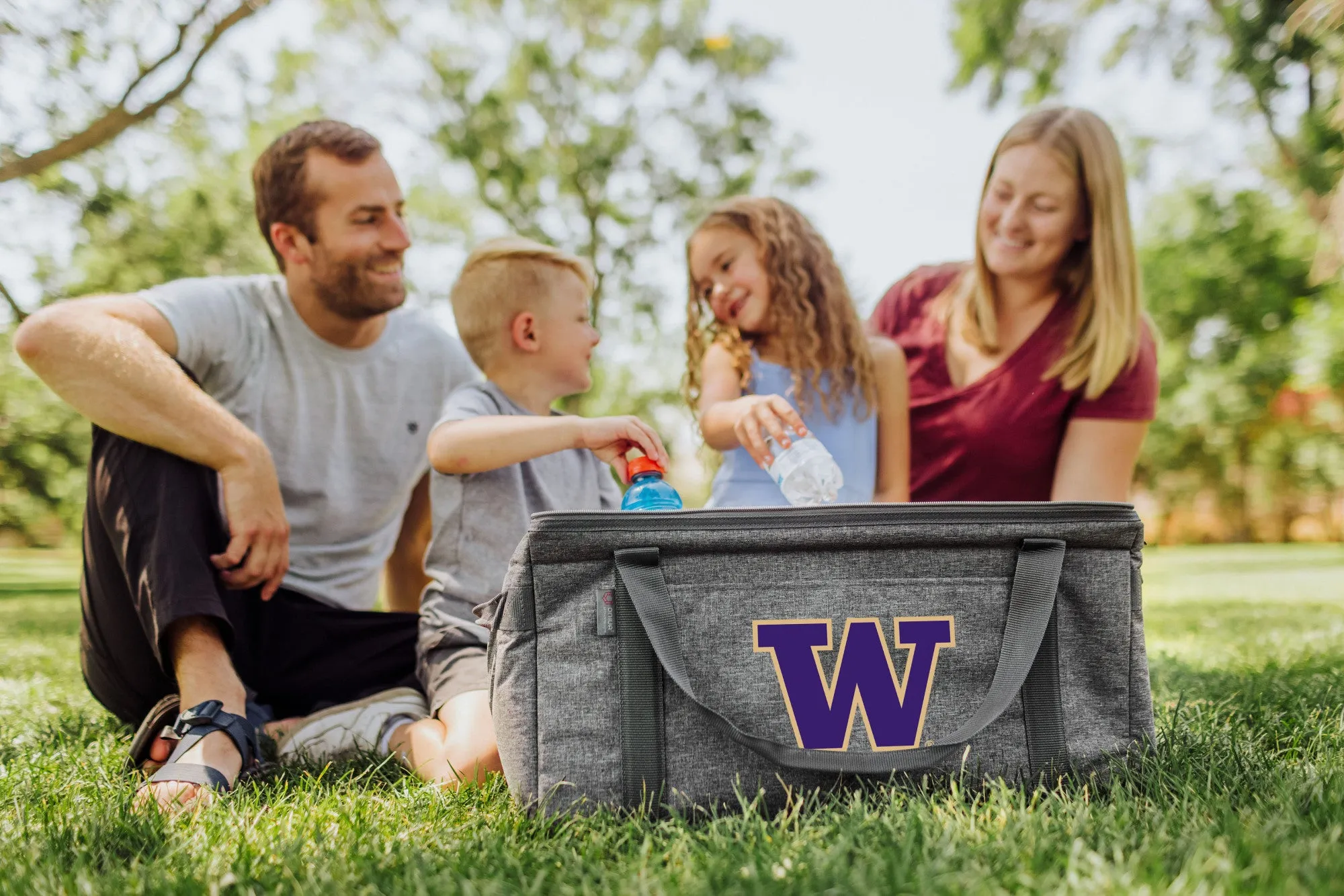 Washington Huskies - 64 Can Collapsible Cooler